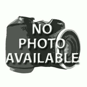 2009_eyepiecedk17ford2h_2434_1_1366553462.webp