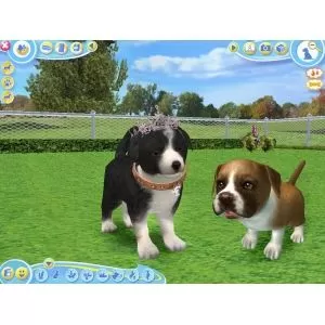 65864_g9465.webp
