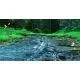 66398_g5731.webp