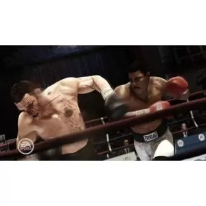 71966_g6575.webp