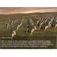 102284_g6858.webp