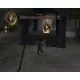102482_g2998.webp