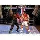 103371_g9550.webp