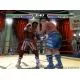103372_g9550.webp