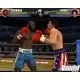 103373_g9550.webp