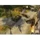103662_g4662.webp