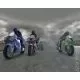 103895_g4220.webp