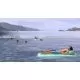 104418_g8027.webp