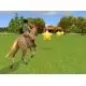107827_g6900.webp