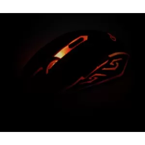 121126_musg001r.webp
