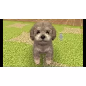 128820_joc3dsnindctoyp.webp
