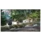 162058_jpg.webp