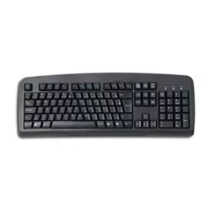 169989_jpg.webp