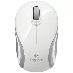 175984_jpg.webp