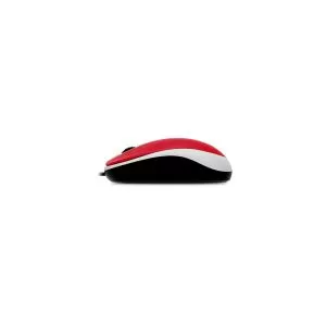 176142_jpg.webp