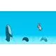 201794_ntn6040002.webp