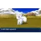 201841_ntn6040042.webp