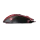 238319_jpg.webp