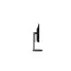 243910_jpg.webp