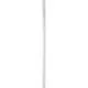251377_jpg.webp