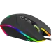 256594_jpg.webp