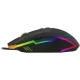 256596_jpg.webp