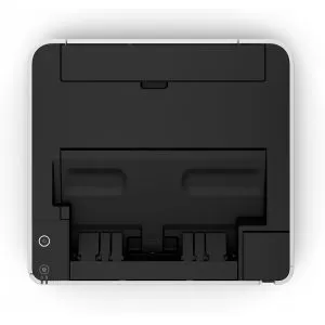 260949_jpg.webp