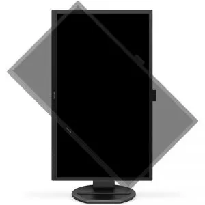 278711_jpg.webp