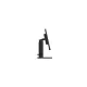 302795_jpg.webp