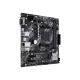 305900_jpg.webp