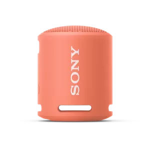 322236_srsxb13pce7.webp