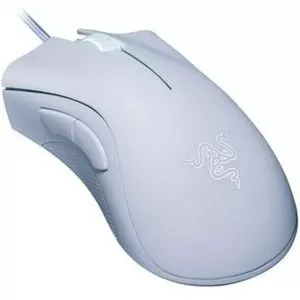 333311_jpg.webp