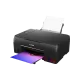 386021_jpg.webp