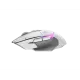 409579_jpg.webp