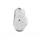 409581_jpg.webp