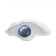 409654_jpg.webp