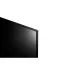 424041_jpg.webp