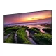 424609_jpg.webp