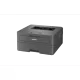 428556_jpg.webp