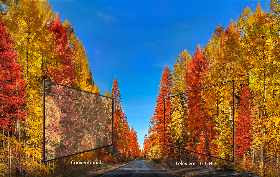 WIDE VIEWING ANGLE